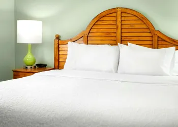 Hampton Inn & Suites Savannah/Midtown hotel thumbnail 4