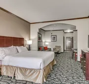 Holiday Inn Express Hotel & Suites Lubbock South by IHG hotel detail image 3