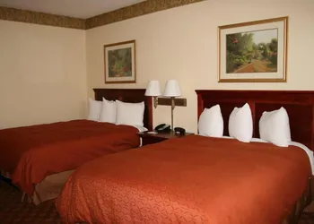 Country Inn & Suites by Radisson, Bentonville South - Rogers, AR hotel thumbnail 5