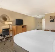 Best Western Plus Waltham Boston hotel detail image 4