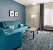 Comfort Inn & Suites Troutville-Roanoke North hotel detail image 7