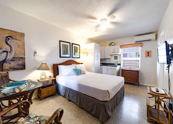 The Desoto Inns hotel thumbnail 2