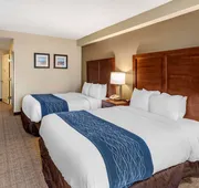 Comfort Inn & Suites Virginia Beach - Norfolk Airport hotel detail image 4