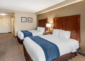 Comfort Inn & Suites Virginia Beach - Norfolk Airport hotel thumbnail 4