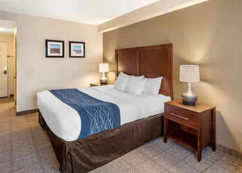 Comfort Inn & Suites Virginia Beach - Norfolk Airport hotel thumbnail 8