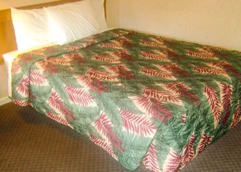 Alma Motel Alma hotel thumbnail 7