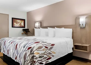 Red Roof Inn Harrisburg North hotel thumbnail 5