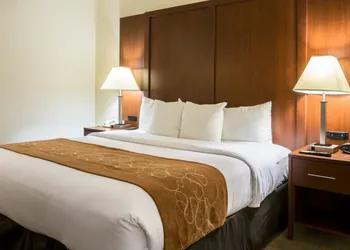 Comfort Suites Cumming-Atlanta near Northside Hospital Forsyth hotel thumbnail 8