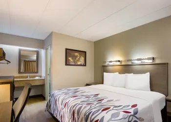 Red Roof Inn Wilkes-Barre Arena hotel thumbnail 6