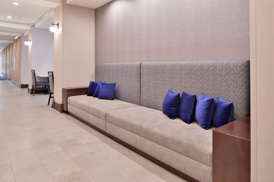 Hampton Inn & Suites Legacy Park-Frisco hotel detail image 6