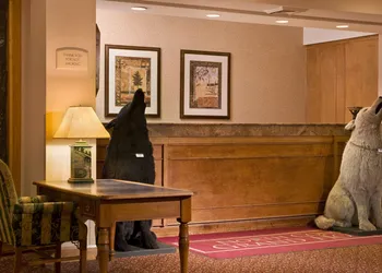 North Conway Grand Hotel hotel thumbnail 3