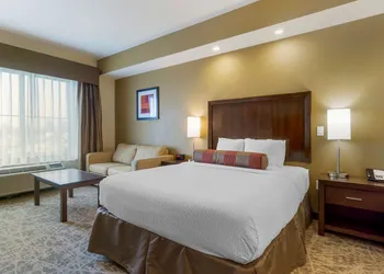Best Western Plus Lacey Inn & Suites hotel thumbnail 8