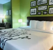 Sleep Inn & Suites Round Rock - Austin North hotel detail image 4