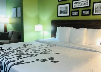 Sleep Inn & Suites Round Rock - Austin North hotel thumbnail 4