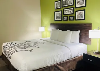 Sleep Inn & Suites Round Rock - Austin North hotel thumbnail 6