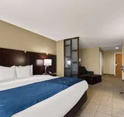 Comfort Suites Commerce hotel detail image 7