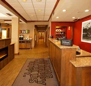 Hampton Inn Montrose hotel detail image 5