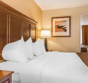 The Black Swan Lee - Lenox, an Ascend Collection Hotel hotel detail image 7