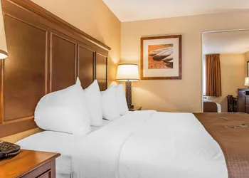 The Black Swan Lee - Lenox, an Ascend Collection Hotel hotel thumbnail 7
