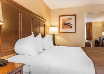The Black Swan Lee - Lenox, an Ascend Collection Hotel hotel thumbnail 7