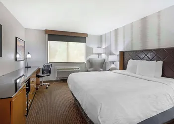 BEST WESTERN Holiday Hills hotel thumbnail 8