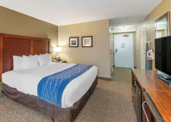 Comfort Inn Elizabeth City near University hotel thumbnail 7