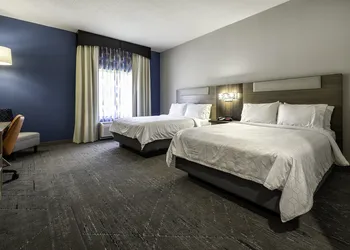 Holiday Inn Express Hotel & Suites FESTUS - SOUTH ST. LOUIS by IHG hotel thumbnail 3