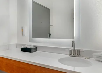 Comfort Suites Auburn Hills-Detroit hotel thumbnail 8