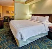 SpringHill Suites Marriott Norfolk Old Dominion University hotel detail image 5