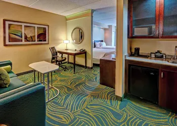 SpringHill Suites Marriott Norfolk Old Dominion University hotel thumbnail 8