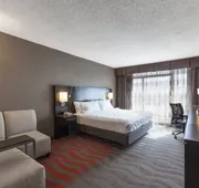 Holiday Inn Austin Midtown by IHG hotel detail image 5