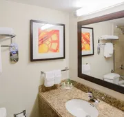 Holiday Inn Austin Midtown by IHG hotel detail image 7