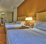 Holiday Inn Express Hotel Suites Lubbock Southwest-Wolfforth by IHG hotel detail image 3