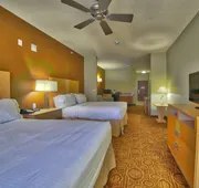Holiday Inn Express Hotel Suites Lubbock Southwest-Wolfforth by IHG hotel detail image 4