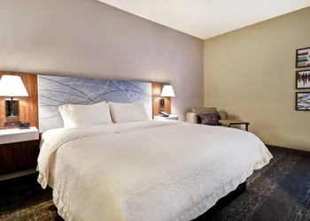 Hampton Inn Atlanta-Mall Of Georgia hotel thumbnail 8