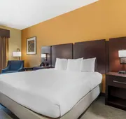 Comfort Inn & Suites Mexia hotel detail image 4