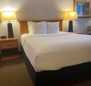 Best Western Plus Kelly Inn hotel detail image 4