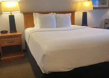 Best Western Plus Kelly Inn hotel thumbnail 4