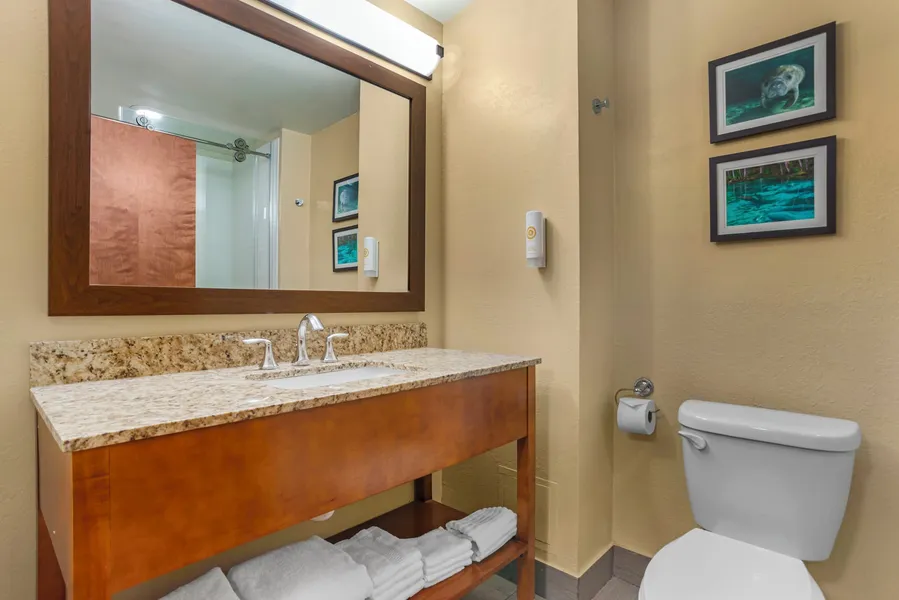 Comfort Suites Tallahassee Capitol - University Area hotel detail image 6