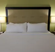 Holiday Inn Corpus Christi Downtown Marina by IHG hotel detail image 7