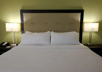 Holiday Inn Corpus Christi Downtown Marina by IHG hotel thumbnail 7