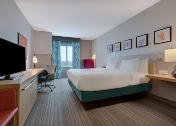 Hilton Garden Inn Tampa Northwest/Oldsmar hotel thumbnail 5