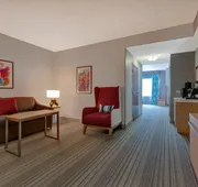 Hilton Garden Inn Tampa Northwest/Oldsmar hotel detail image 7