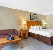 Best Western Danbury/Bethel hotel detail image 7