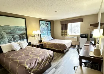 Super 8 by Wyndham Latham/Albany Airport hotel thumbnail 4