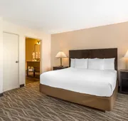 Best Western Plus Valdosta Hotel & Suites hotel detail image 7