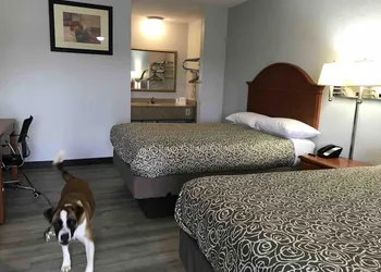 Walnut Inn Motel hotel thumbnail 4