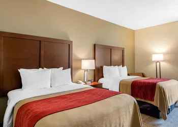 Comfort Inn Chester - Richmond South hotel thumbnail 4