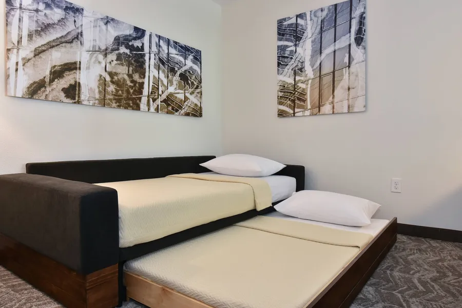 SpringHill Suites by Marriott Columbia Downtown/The Vista hotel detail image 6