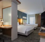 SpringHill Suites by Marriott Columbia Downtown/The Vista hotel detail image 7